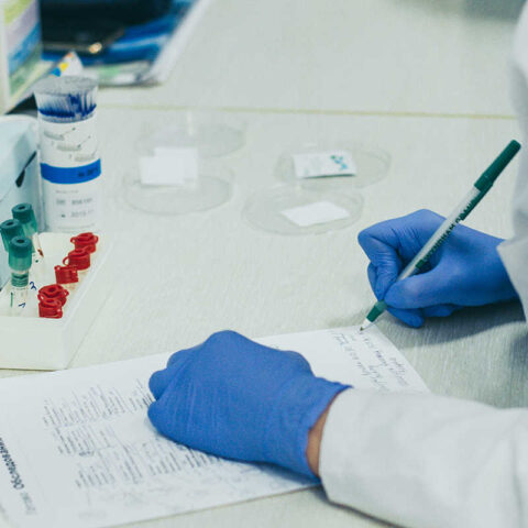 Біохімічна оцінка функціонального стану нирок