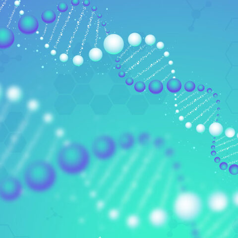 Конкурс НФДУ «Наука для безпеки людини та суспільства» оголошено!